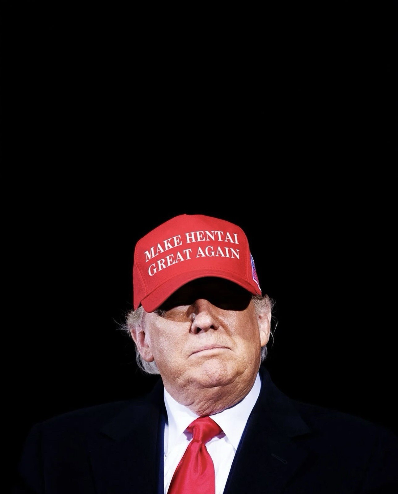 WHITEPHOSPHOR MAKE HENTAI GREAT AGAIN HAT NOT  QILO WRMFZY SUPDEF FOG