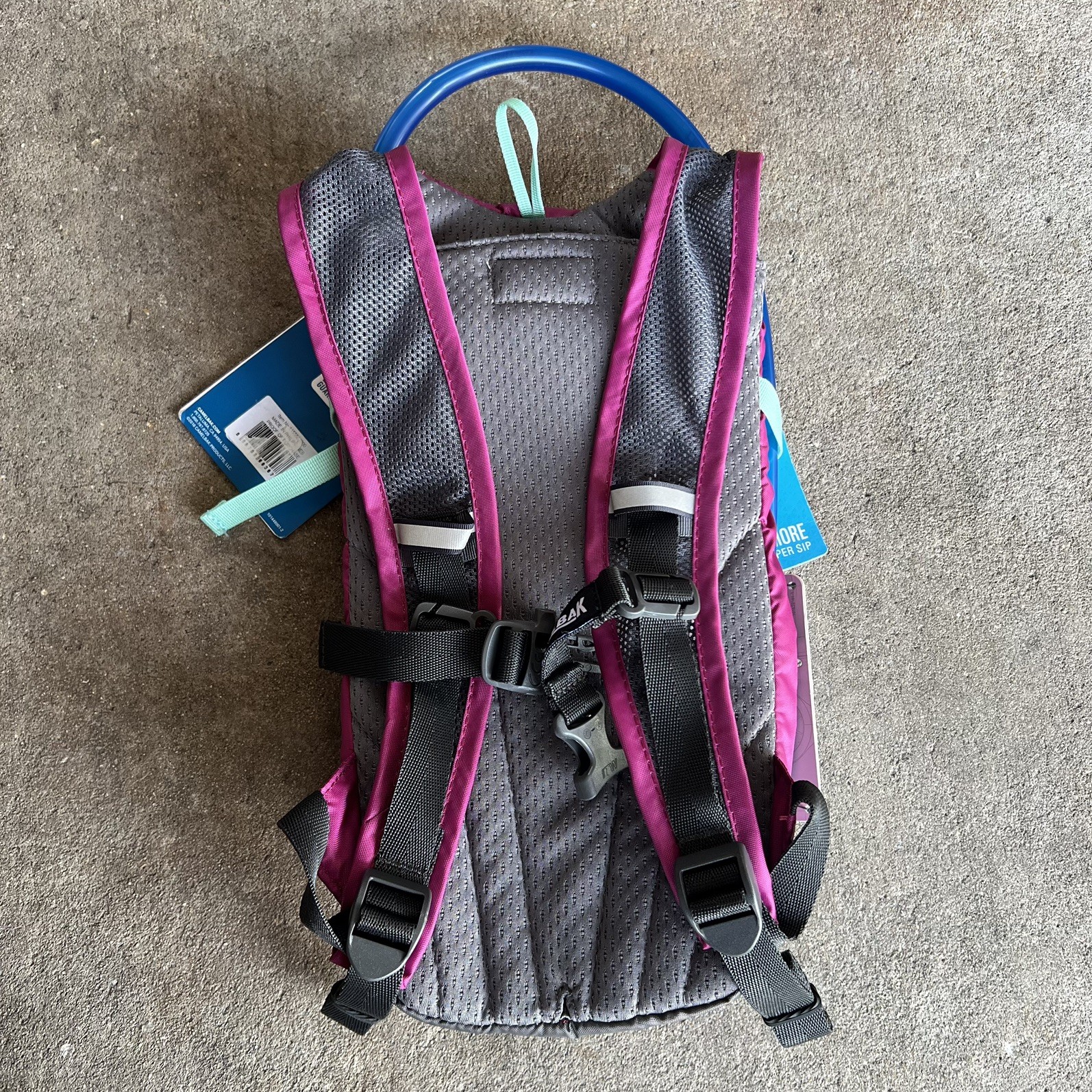 CamelBak Mini M.U.L.E. Kids Hydration Backpack, 50 oz, Purple #032