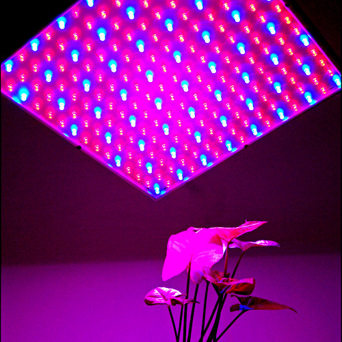 HQRP 225 LED Grow Light Panel for Indoor Grow Green house Hydroponic System