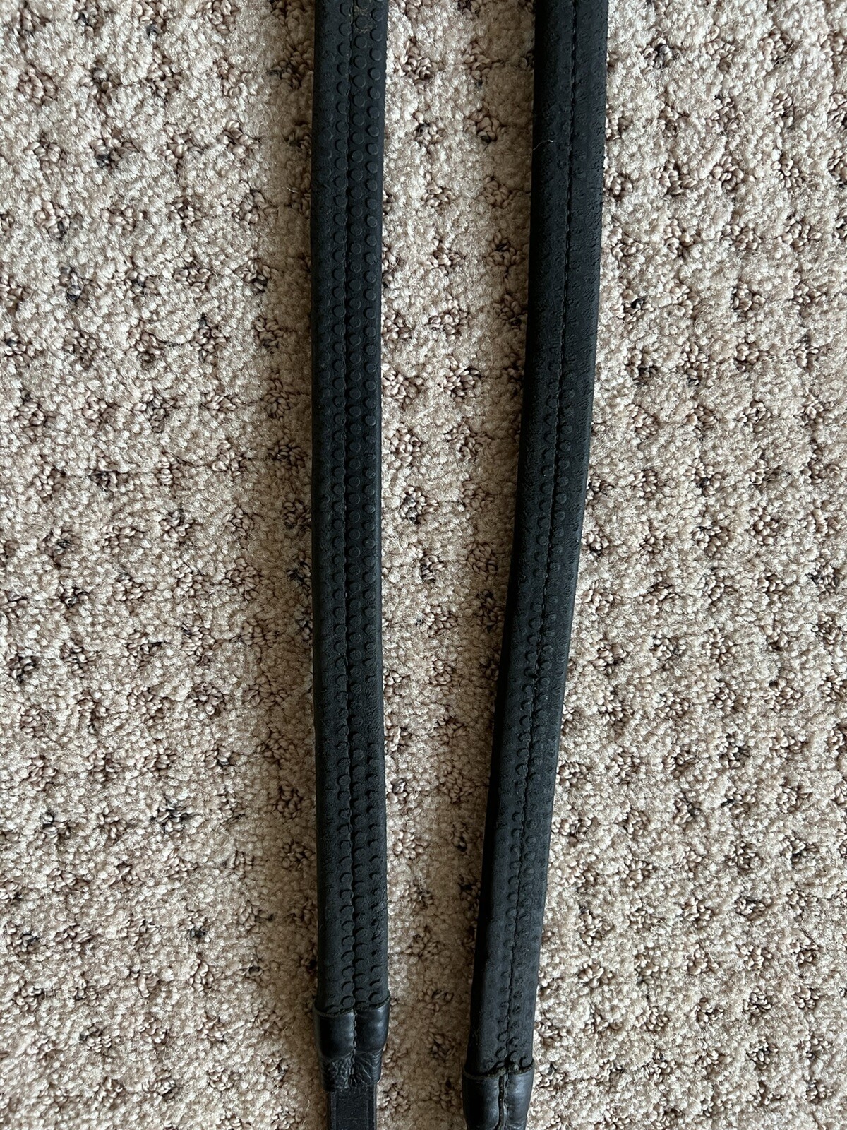 reins