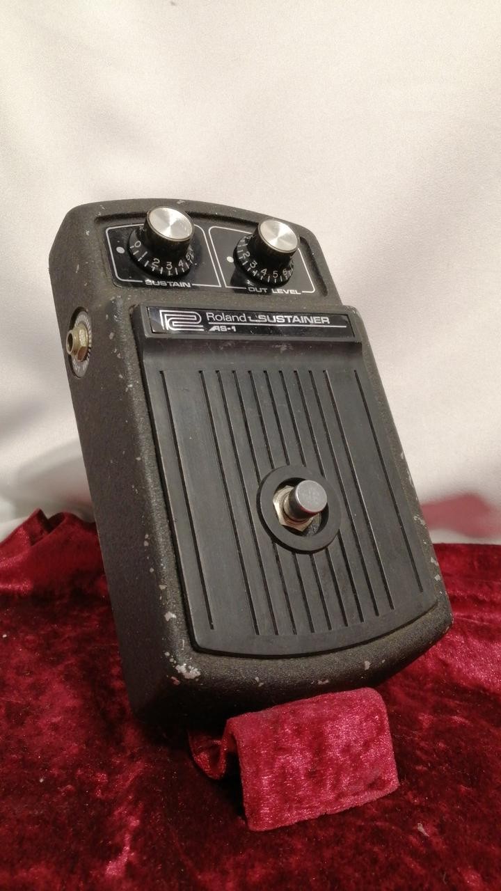 ROLAND Model AS-1