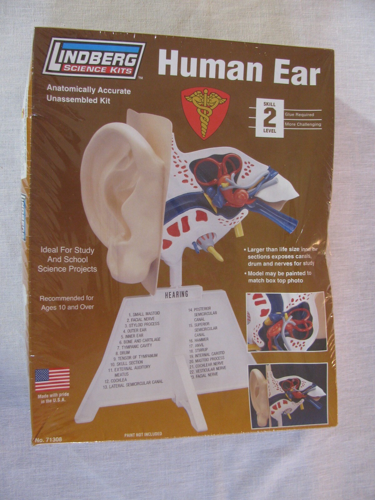 NEW Lindberg Human Ear Science Kit 71308, Skill 2, USA, 2007 rr