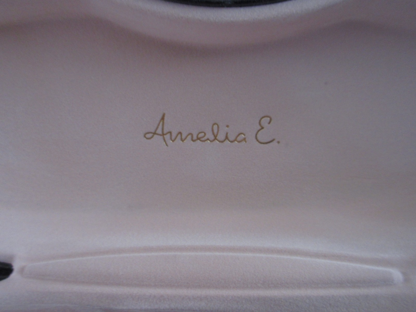 Amelia E. Eyeglass Case & Cleaning Wipe