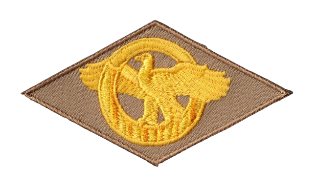 WWII RUPTURED DUCK HONORABLY DISCHARGE VETERAN PATCH