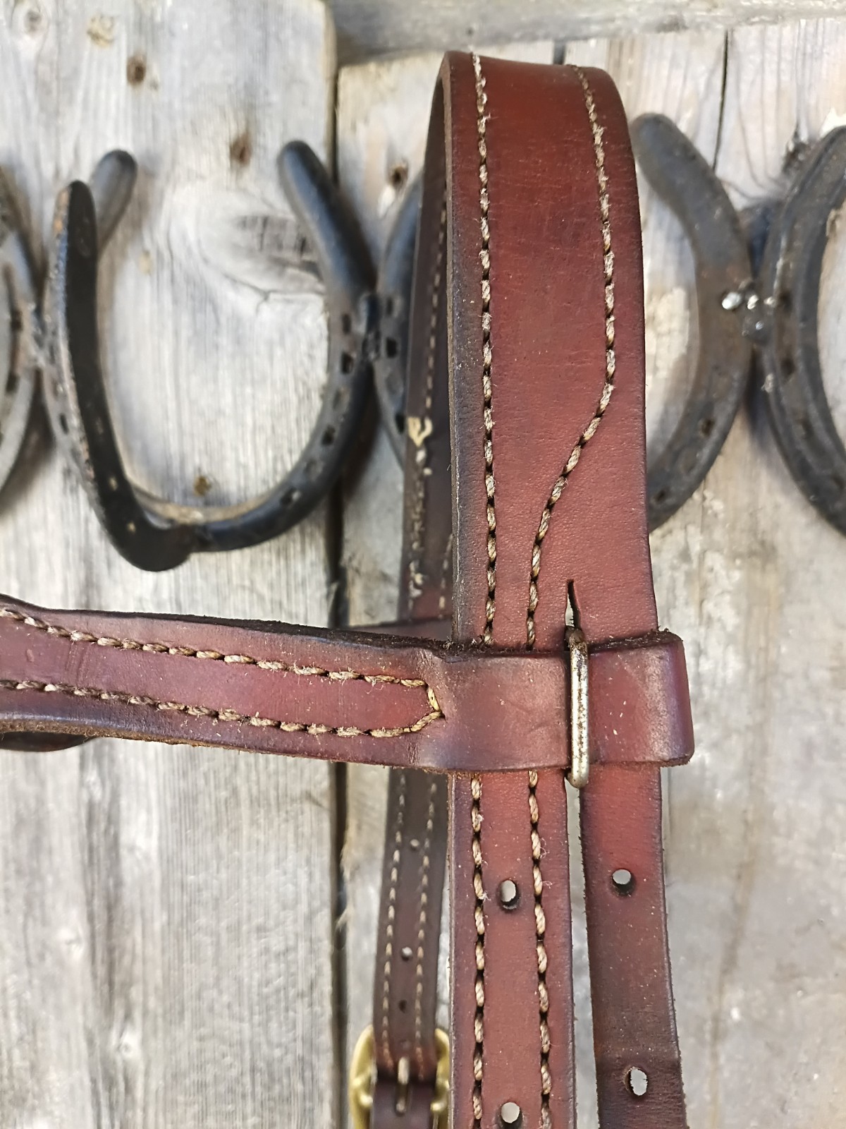 Scalloped Browband Western Headstall With brass Snaps