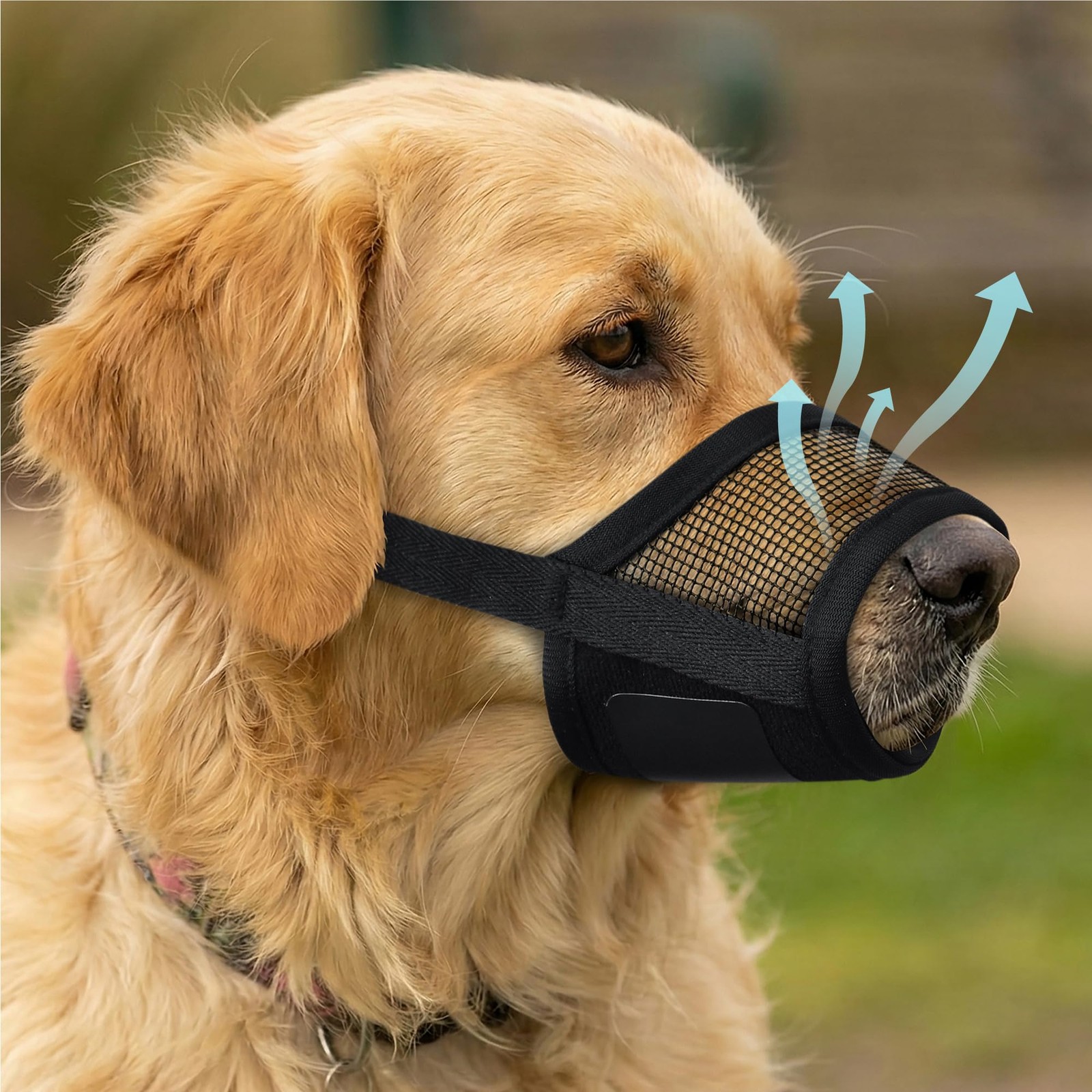 Evollax Dog Muzzle for Large Dogs – Breathable Air Mesh Muzzle for Large Sized D