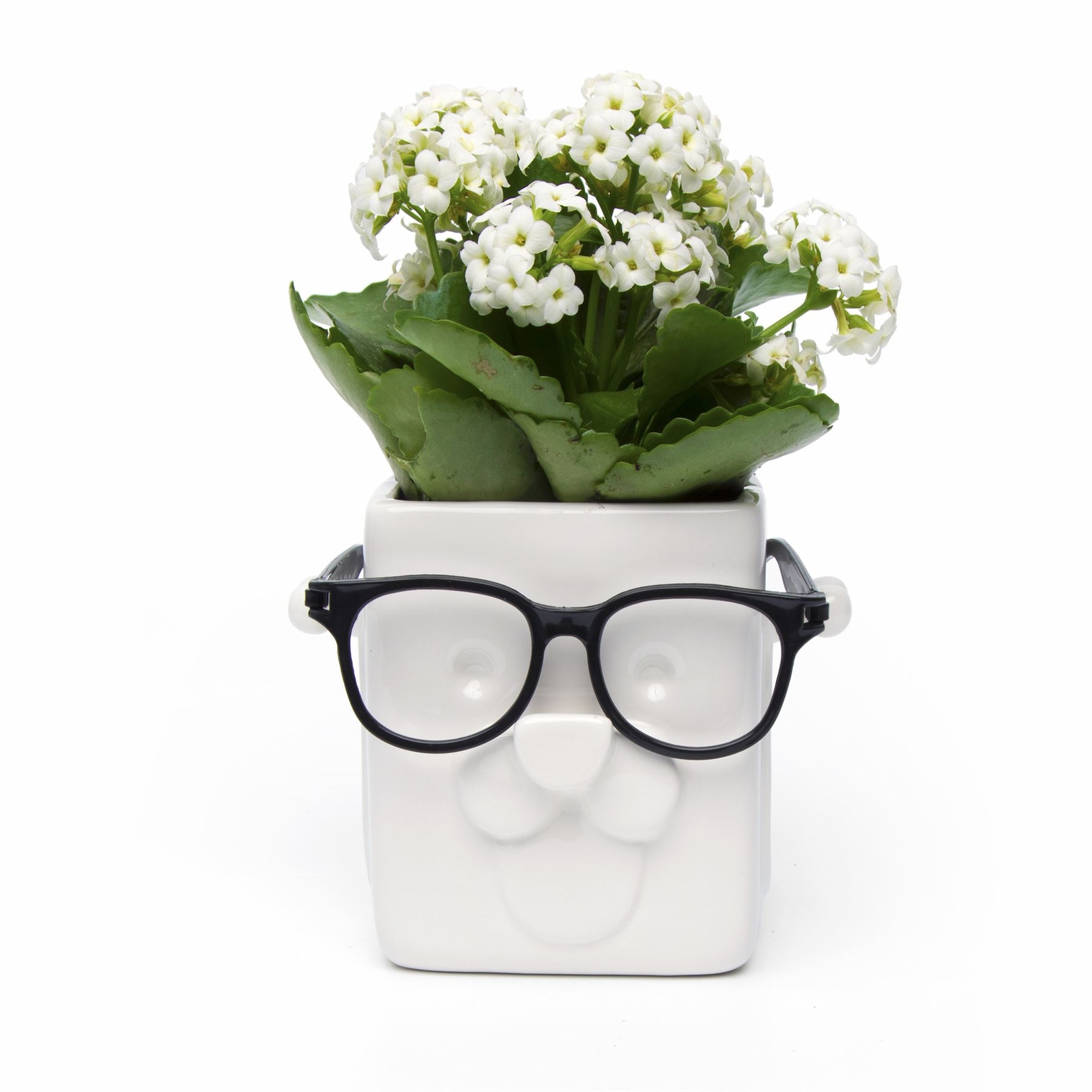 Ceramic Puppy Planter by 30 Watt Glasses Holder Customizable