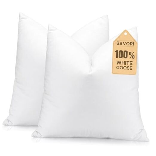 Set of 2 Down and Feather Throw Pillow Inserts 26x26 Soft Fluffy 26x26 Inch