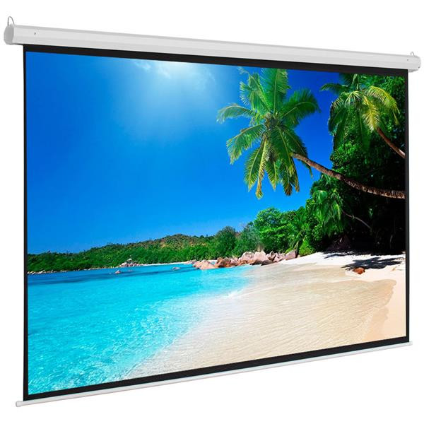 100In 4:3 Manual Pull Down Projector Screen Wall Mounted Anti-Light For Home
