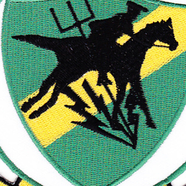 ZW-1 Aviation Airship Patrol Squadron One Patch