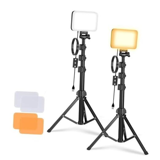 Basics 2 Pack LED Video Light Panel Lighting BP66 (2 Pack w/ Stands & Filters)