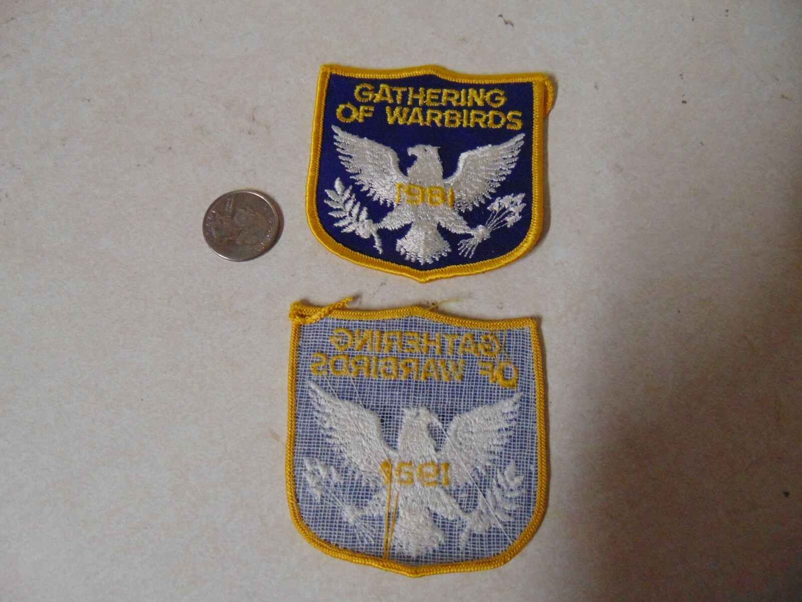 MILITARY PATCH OLDER SEW ON GATHERING OF WARBIRDS APPROX 3 INCHES 1981