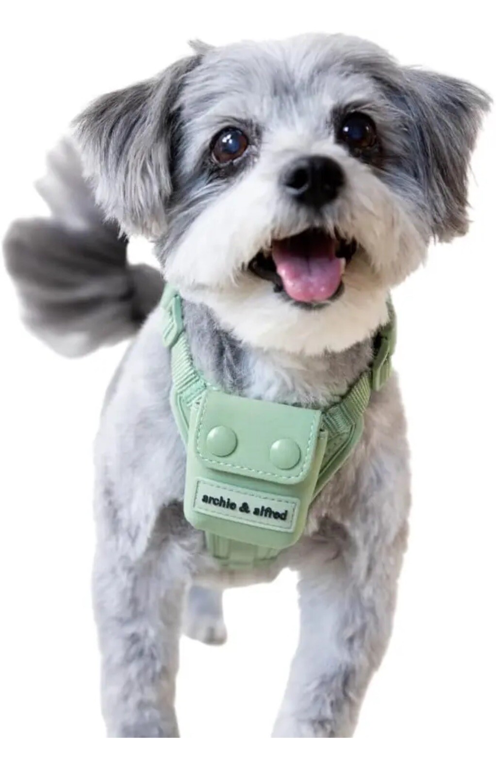Archie & Alfred No Pull Adjustable Dog Harness And Matching Collar Medium Green