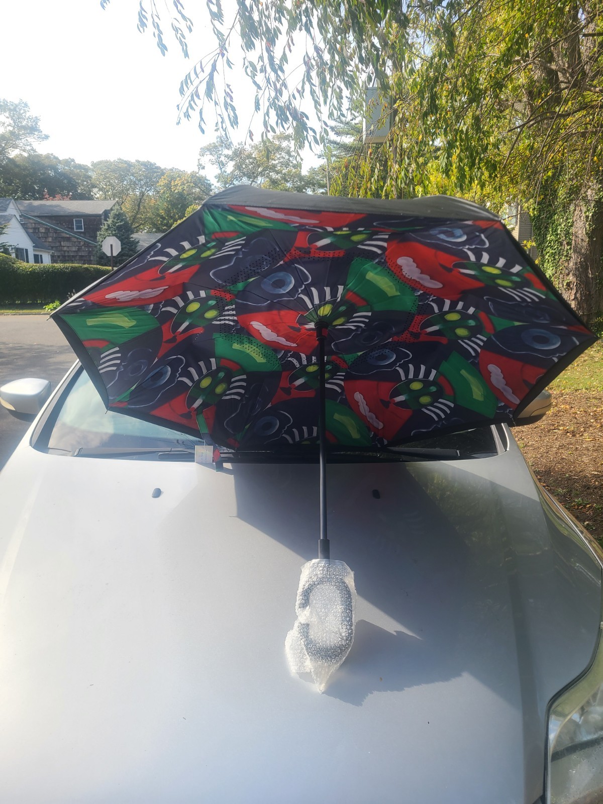 Umbrella CJ YAO NATURE SERIES. COLLECTABLE