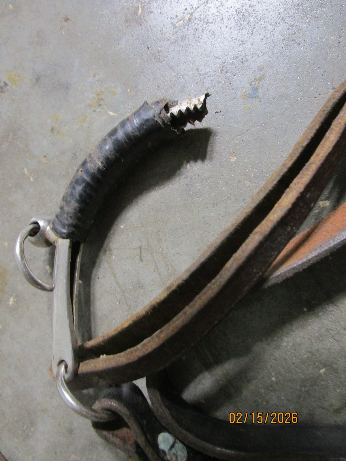 Leather Horse Tack Lot