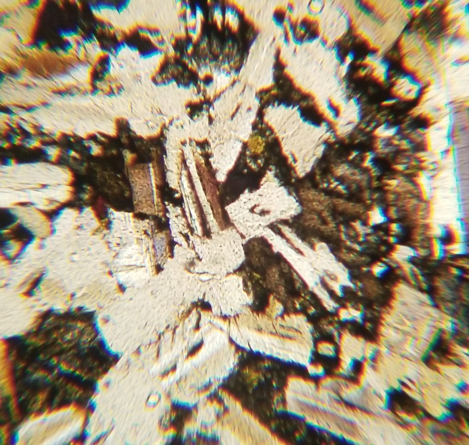 Thin-section Mount from DSDP Hole 265 Petrographic Microscope Slide 28-265-18-2