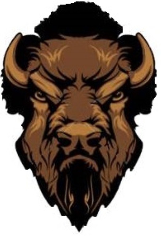 BISON ANGRY HELMET STICKER HARD HAT STICKER LAPTOP STICKER TOOLBOX STICKER