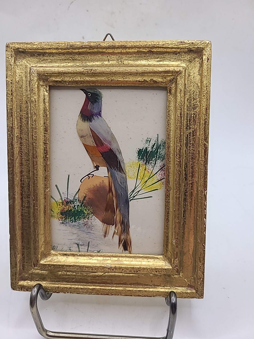 Picture mini feathercraft bird real feathers.Gold wood frame. Italy. Gorgeous