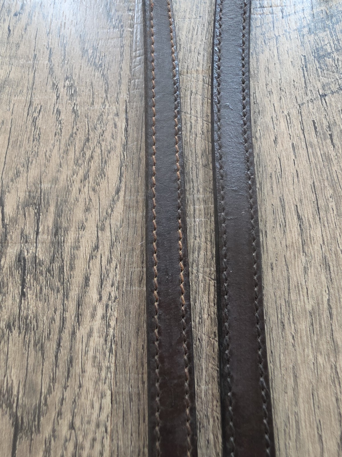 Riding Reins