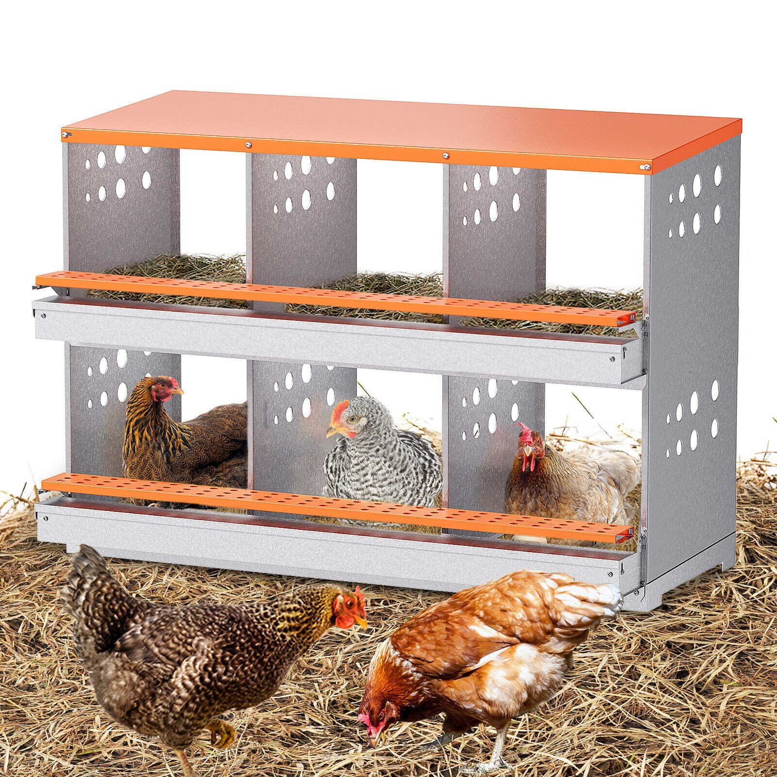 6 Hole Chicken Nesting Boxes Metal Egg Laying Brooding Box With Vent Hole Set
