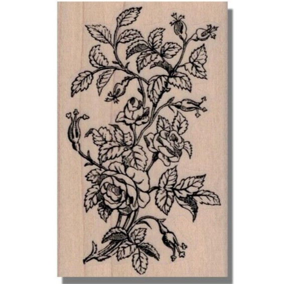 Mounted Rubber Stamp, ROSES, Flower,Rose Bush,Garden,Leaf,Flowers,Nature,Vine,lg