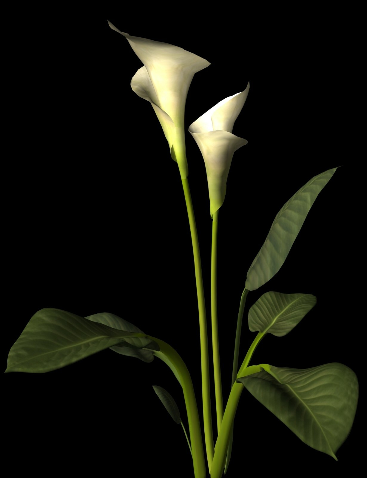 The Botanical 3D Models 75+ Fully Textured Flower & Plant Models in DXF Format