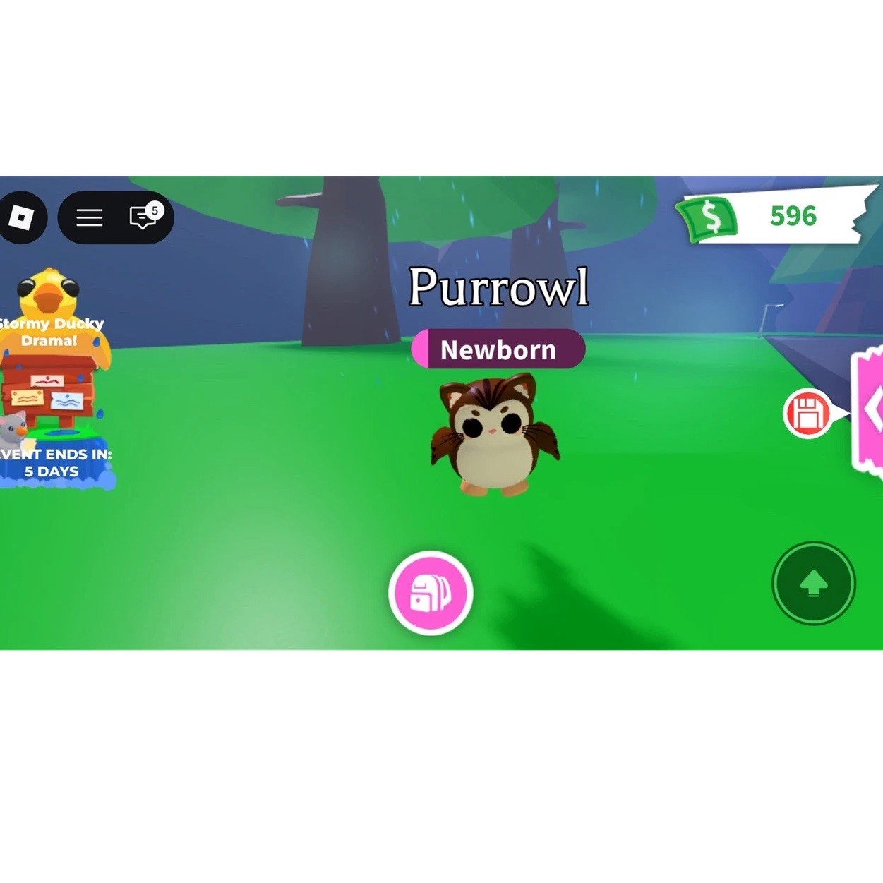 Roblox Adopt Me! Purrowl Newborn Game Item/Asset Digital Virtual Pet