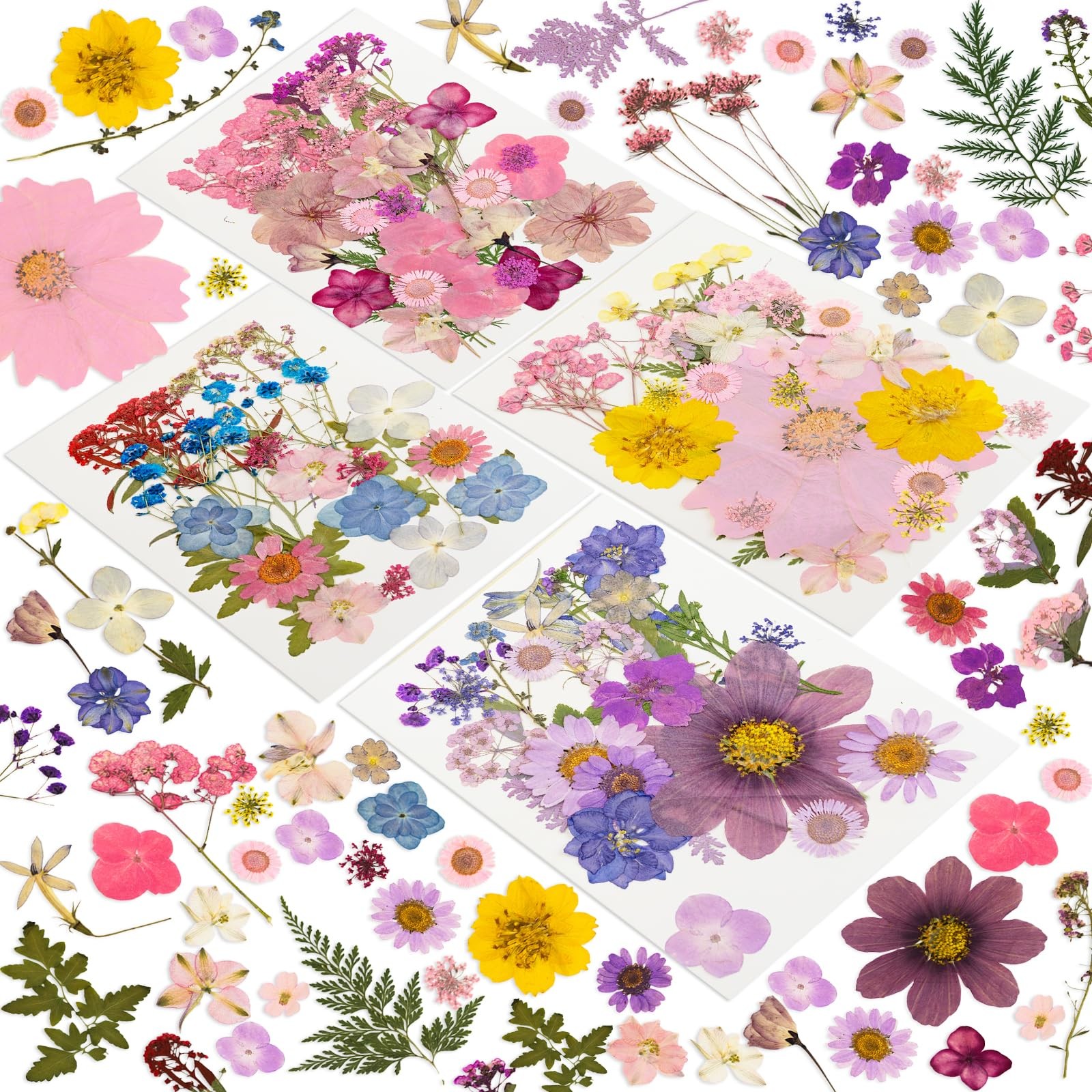 204 Pcs Dried Pressed Flowers for Resin Crafts, Real Natural Pressed Flowers ...