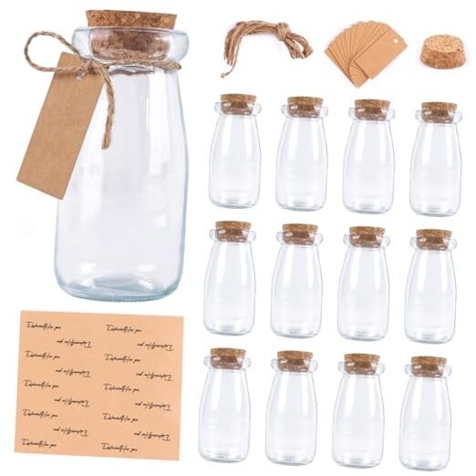 3.4oz Small Glass Jars with Lids, 12PCS Mini Glass Jars with 12pcs - 100ml