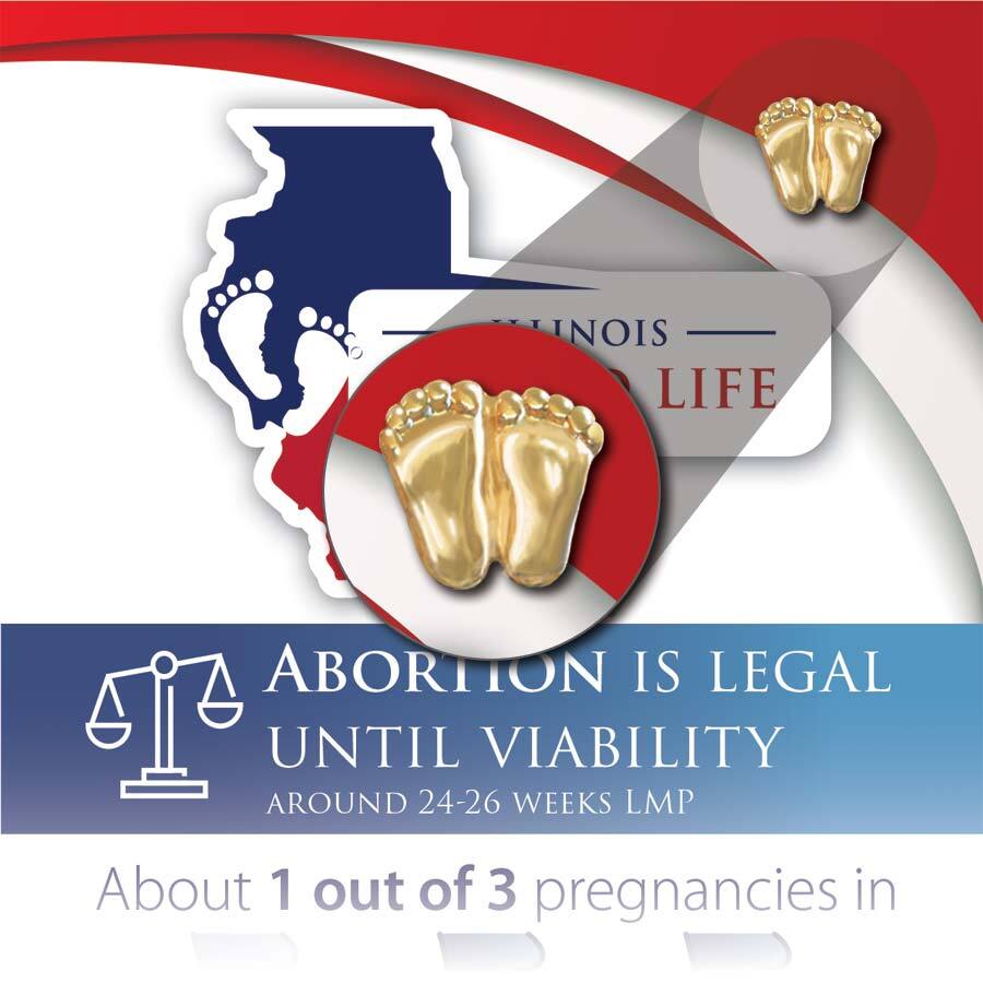 Precious Feet, Gold-Colored, Illinois Stats Card Jewelry, Lapel Pin