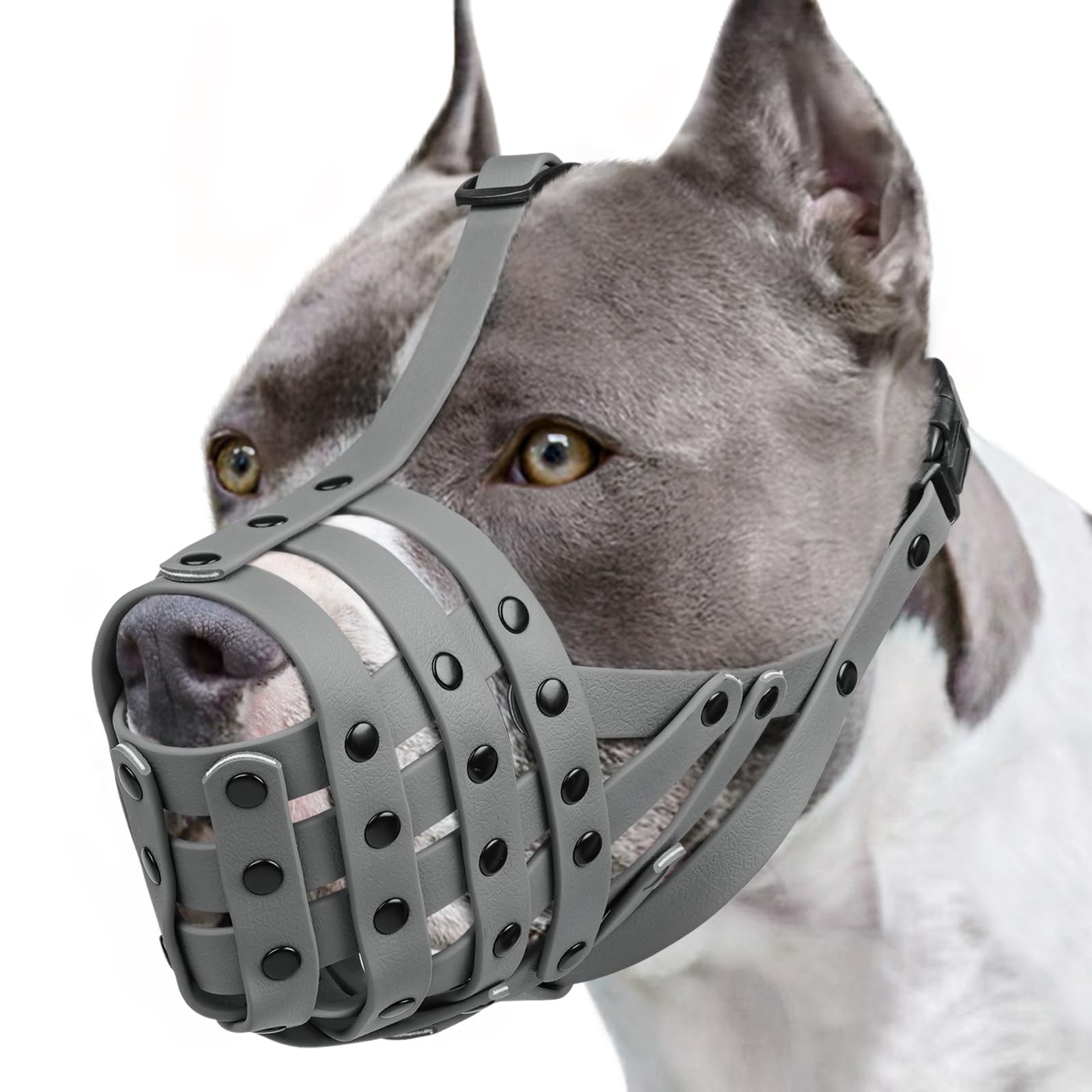 Mayerzon Pitbull Muzzle, Lightweight Basket M [Snout Cir: 9.75"-11"], Grey