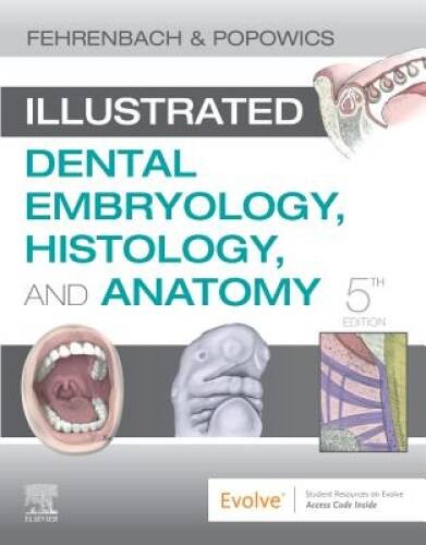 Illustrated Dental Embryology, Histology, and Anatomy - Paperback - GOOD