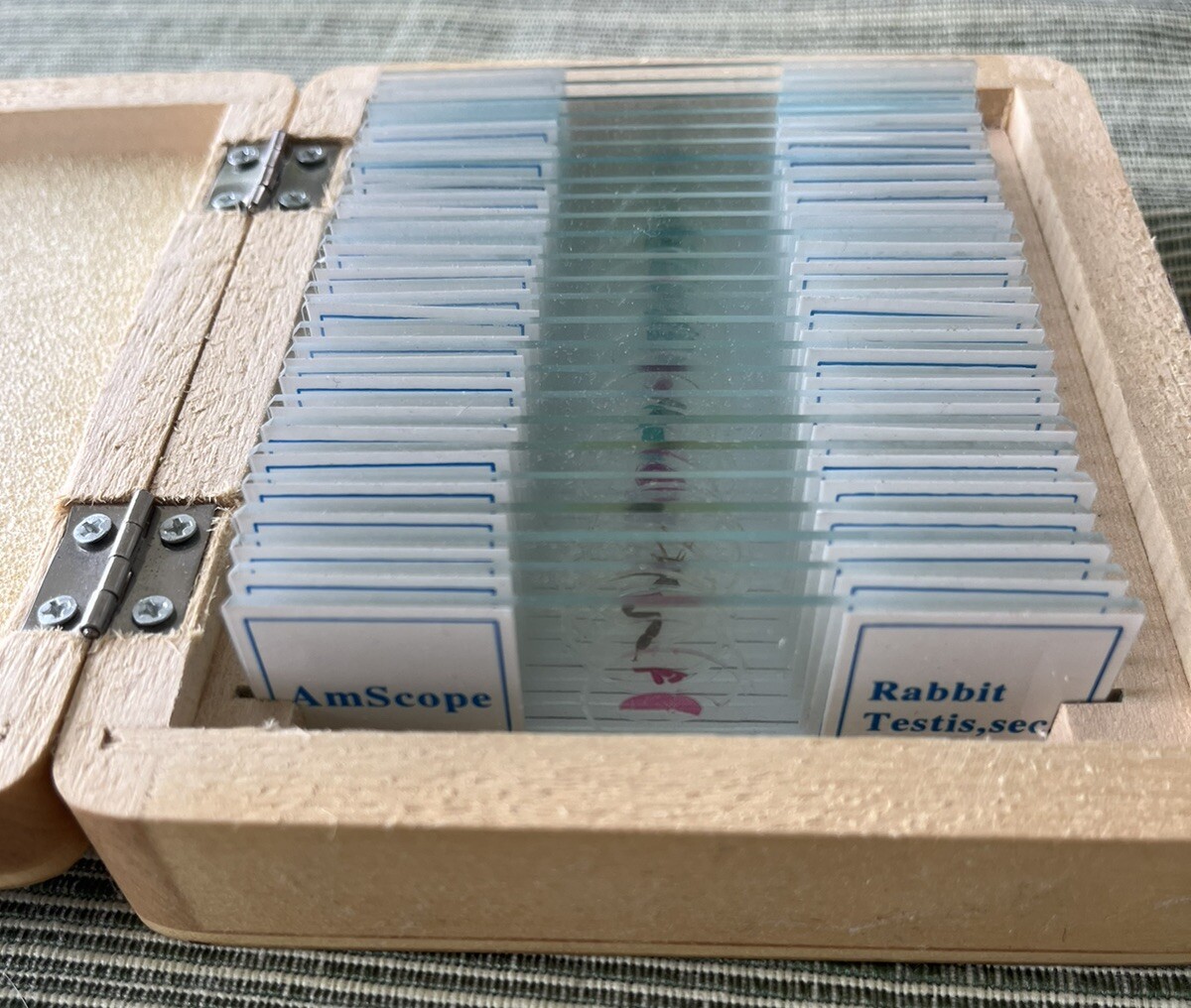 AmScope 25 Prepared Microscope Slides Glass with Wooden Box EUC!