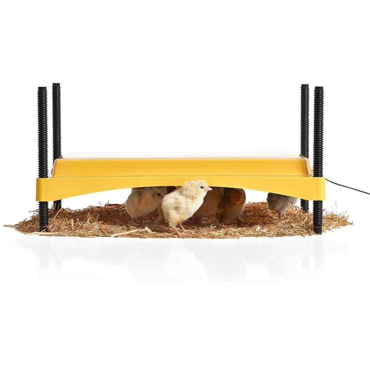 Chick & Duckling Brooder Plate - Height Adjustable 18W, Safe Low Voltage Heat, U