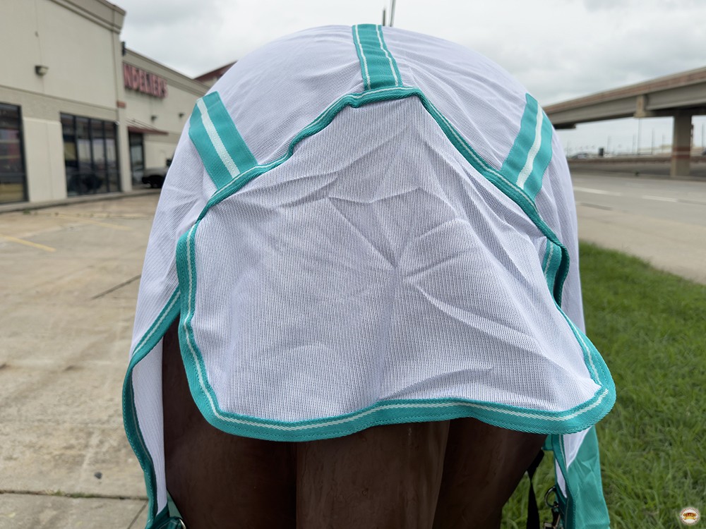 HILASON Horse Fly Sheet UV Protect Breathable Mesh Bug Mosquito Spring | Summer