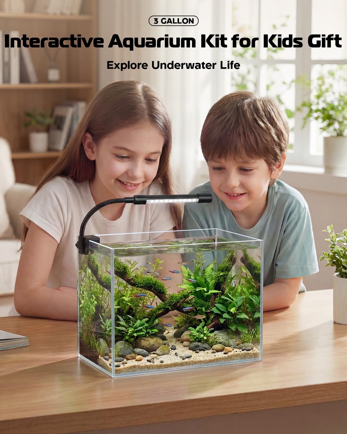 Glass Fish Tank Kit, 3 Gallon Betta Fish Tank Aquarium Starter Kit with Filte...