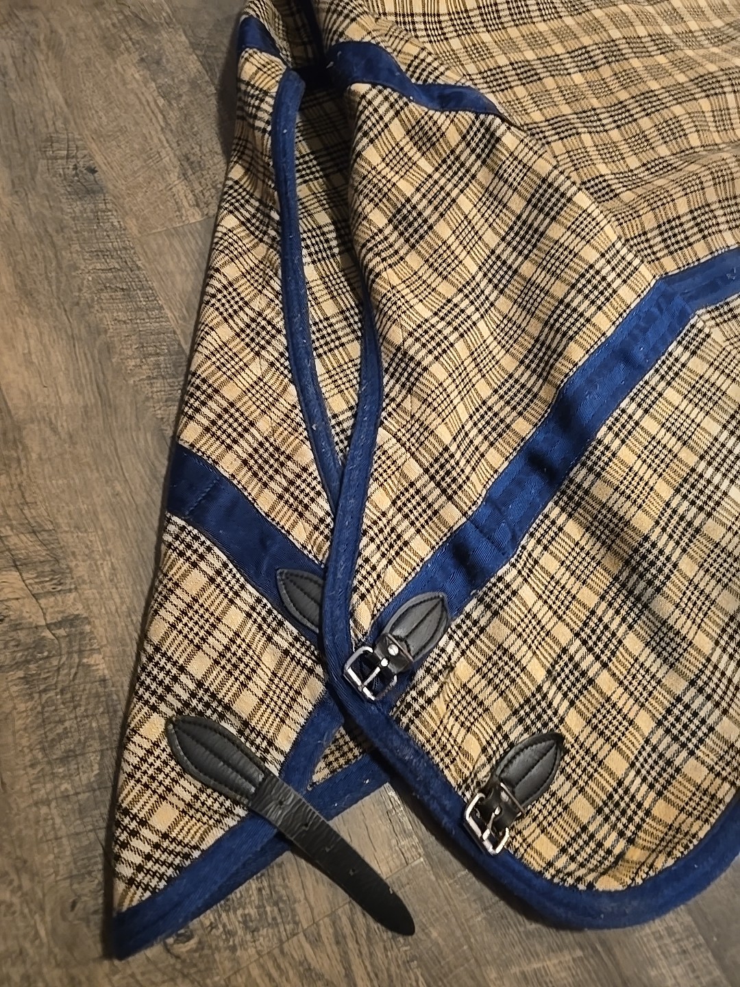 Horse Blanket 66