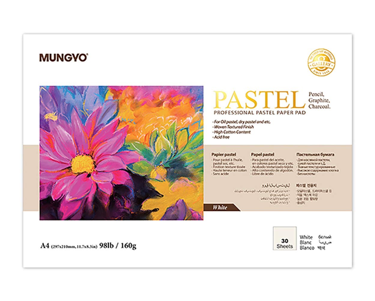 MUNGYO Professional Pastel Paper Pad A4 Size for Oil Pastel, Dry Pastel 30 Sh...