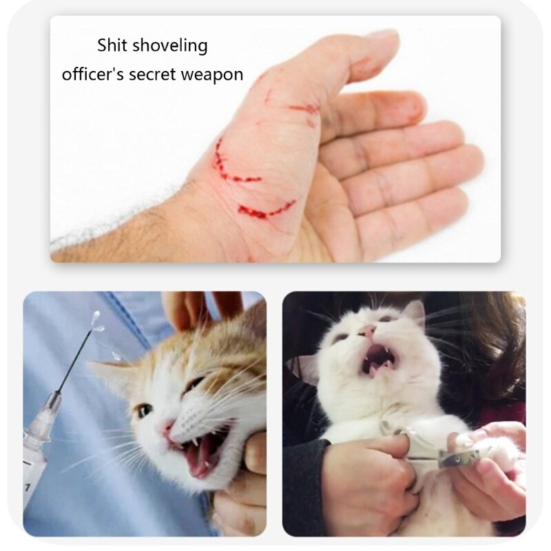 Cat Muzzles Breathable Transparent Muzzle Grooming Mask Astronaut Helmet
