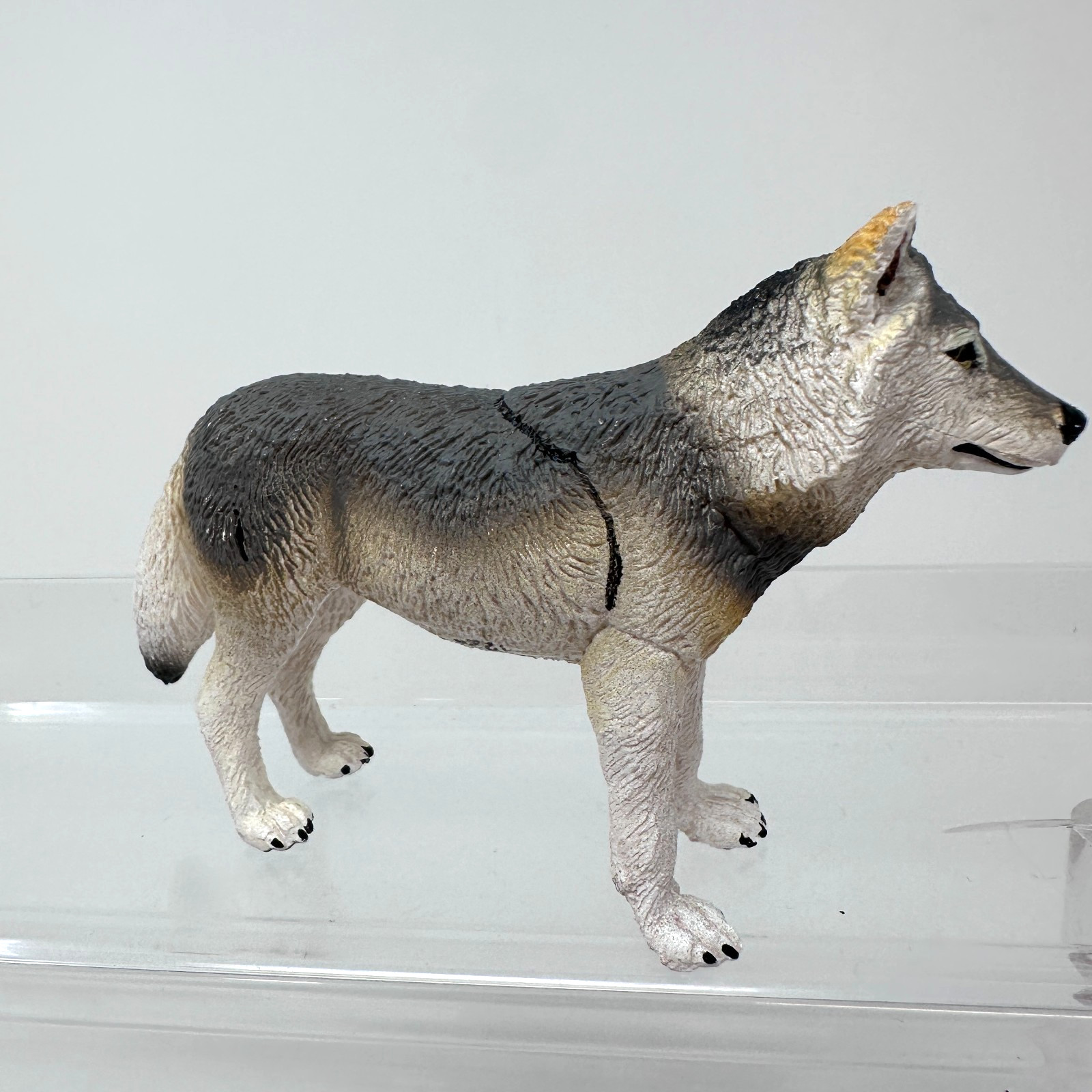 Safari Ltd Gray Wolf Figure Wild Dog Wildlife Zoo Jungle Animal Figurine 4" 2020