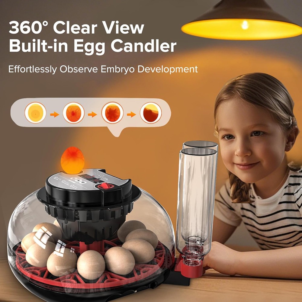 12 Egg Automatic Turning Chicken Hatcher Incubators Stable Temperature Incubator