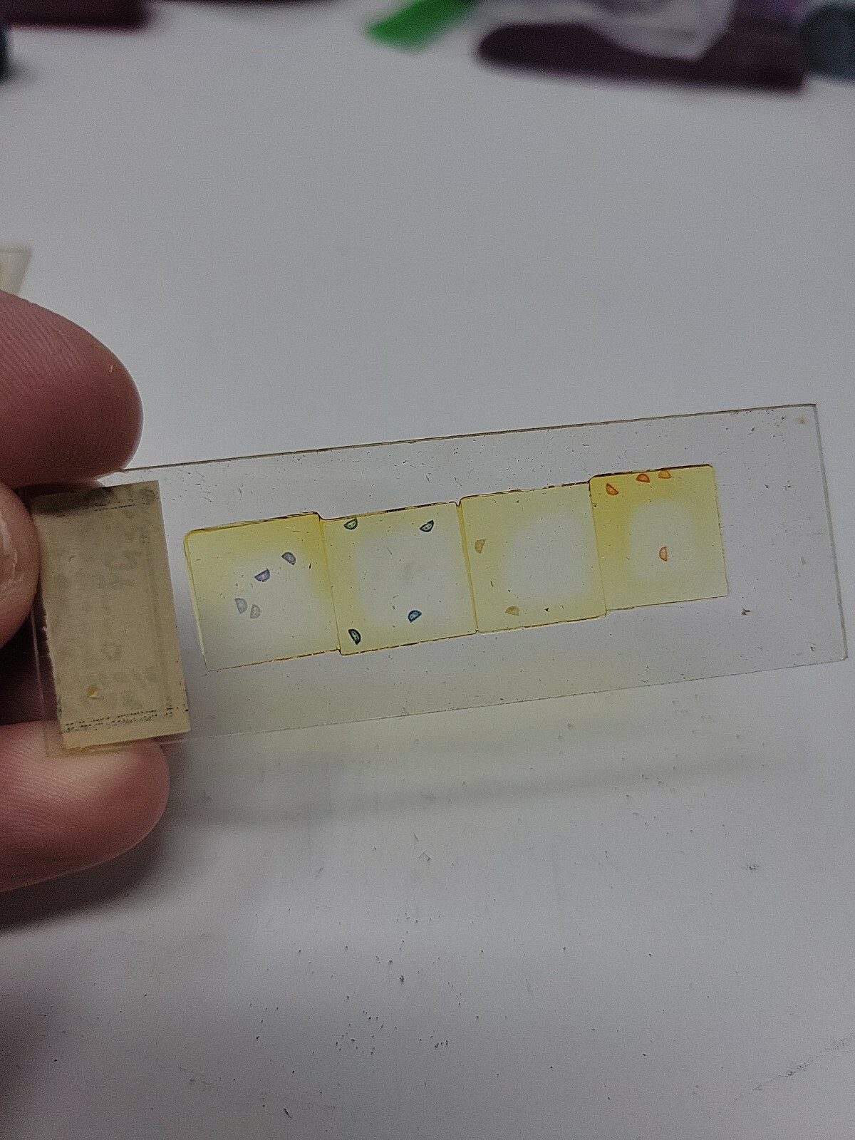 Vintage Microscope Slide 1940