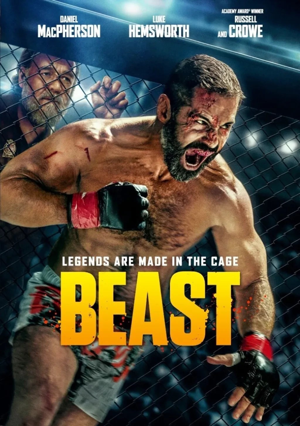 Beast DVD 2026 New Sealed