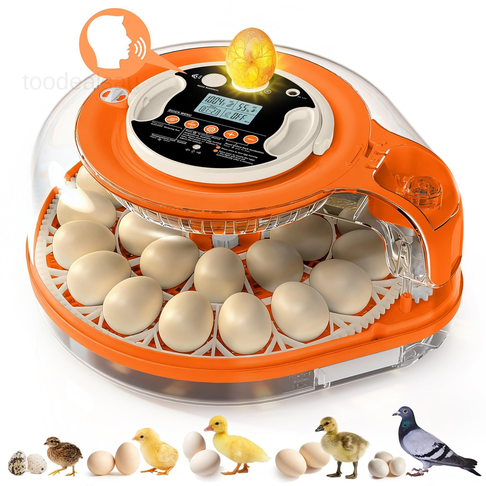 26 Incubators for Hatching Eggs Smart Voice Control 26 Eggs, Orange White