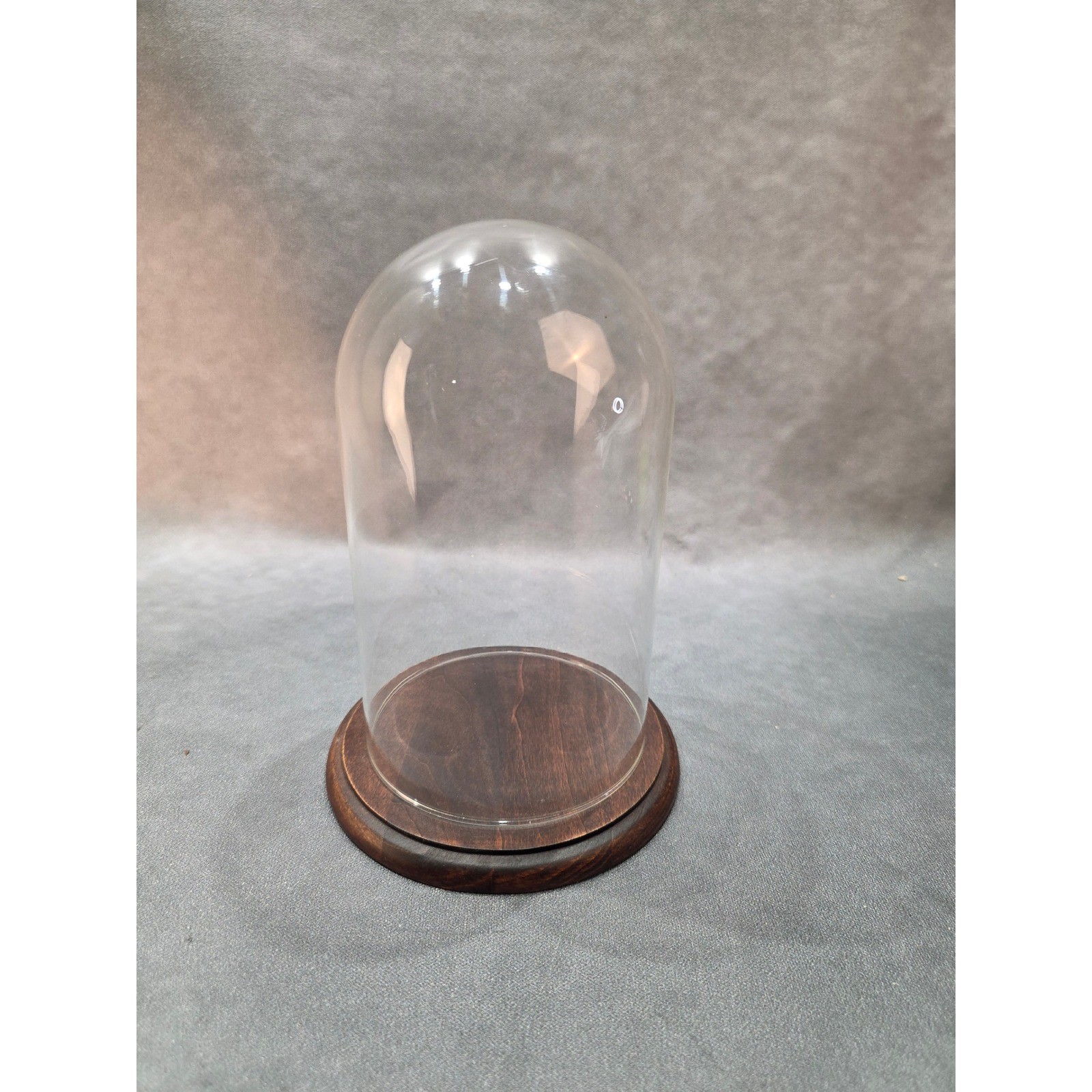 Glass Display Cloche Dome with Dark Wood Base 8.5 Inch Tall Showcase Jar