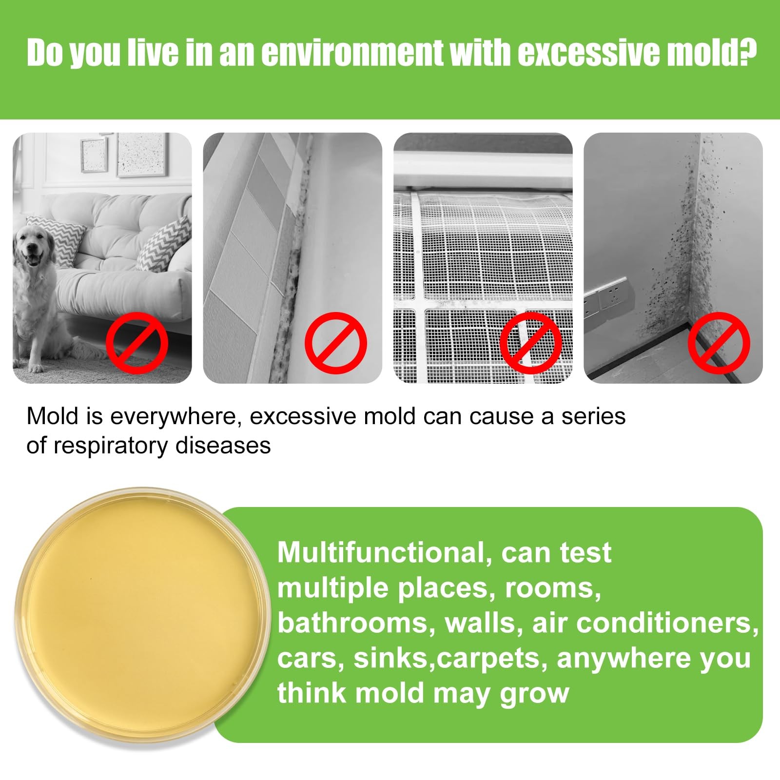 Mold Test Kit for Home - 6 Simple Detection Tests,Test HVAC System,Home Surfa...