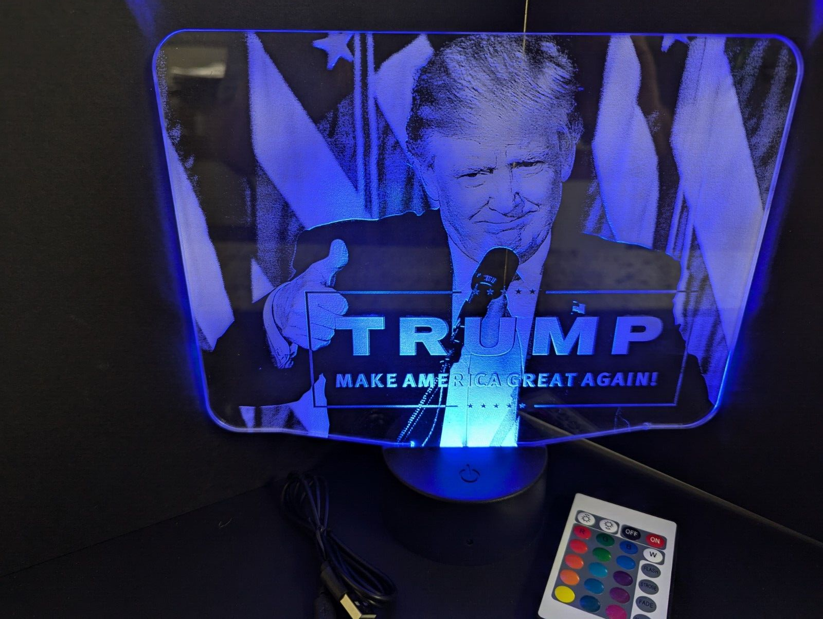 Donald Trump 2024 President L.E.D. Large light display
