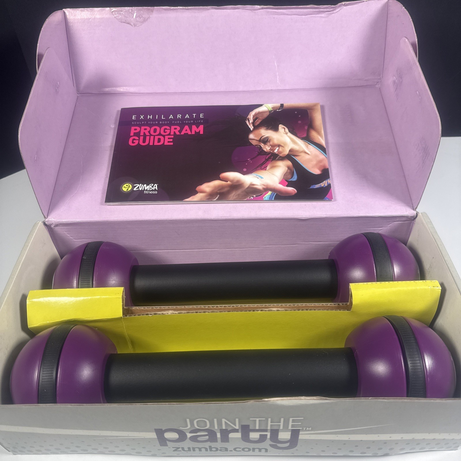 Zumba Toning Sticks Shaker Weights 2.5 Pounds Each Purple Set of 2 W/Box Manual