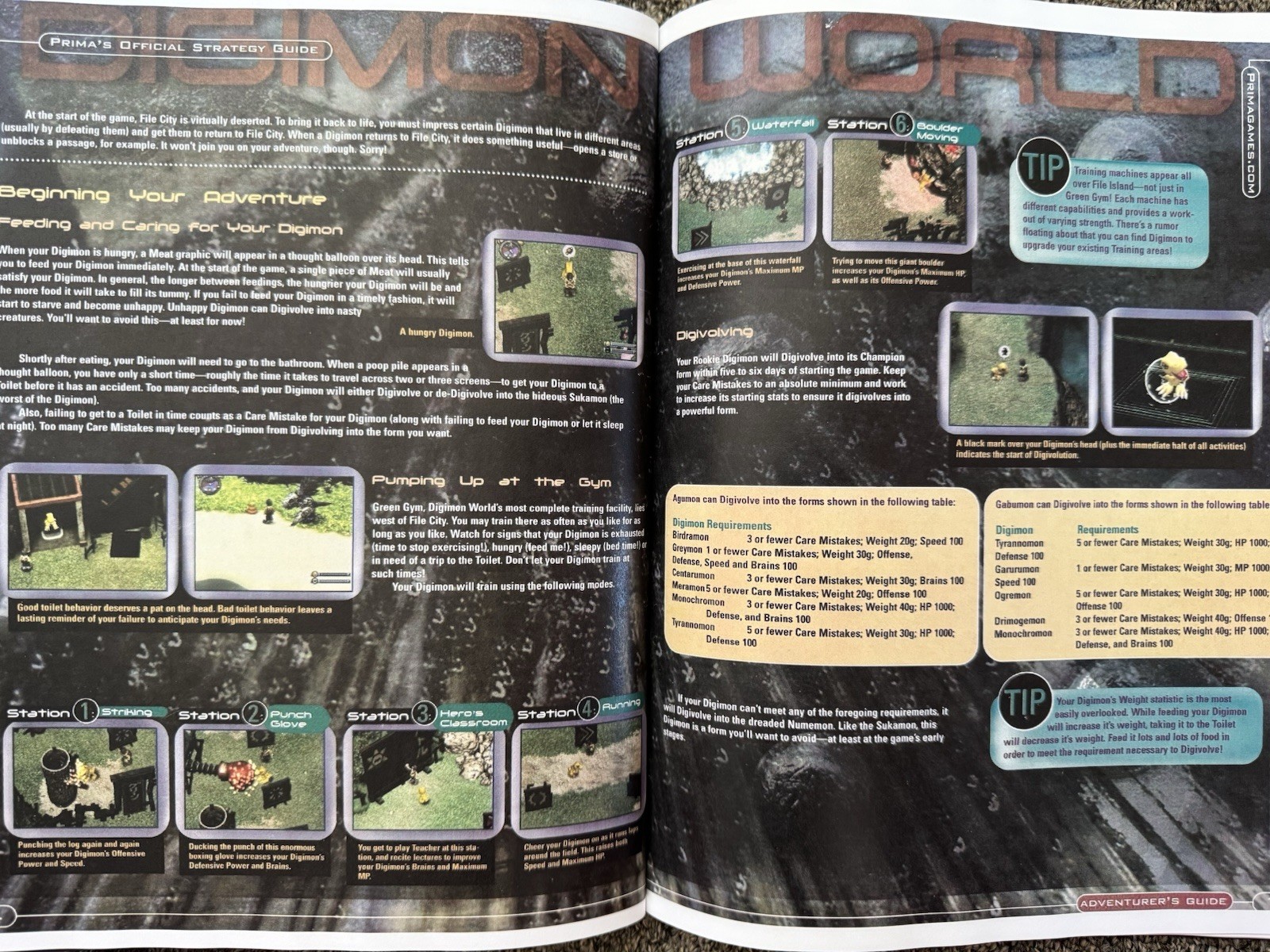 Digimon World Hardcover Strategy Guide Custom