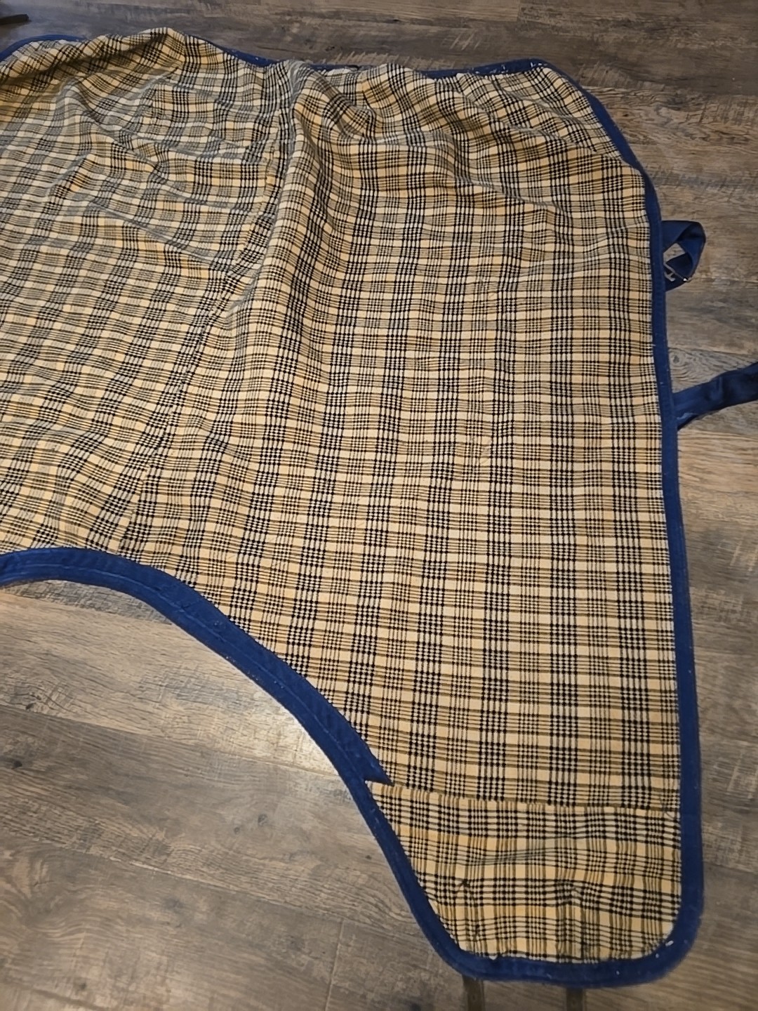 Horse Blanket 66